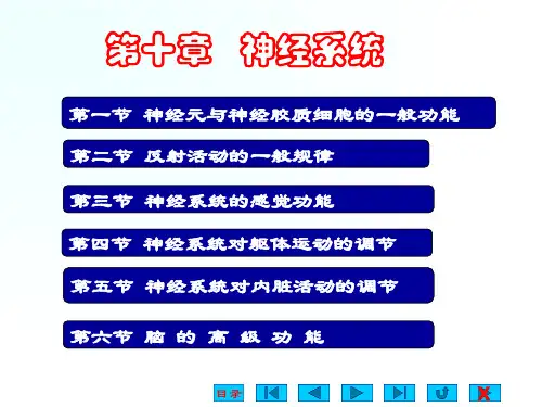 生理学 第十章 神经系统
