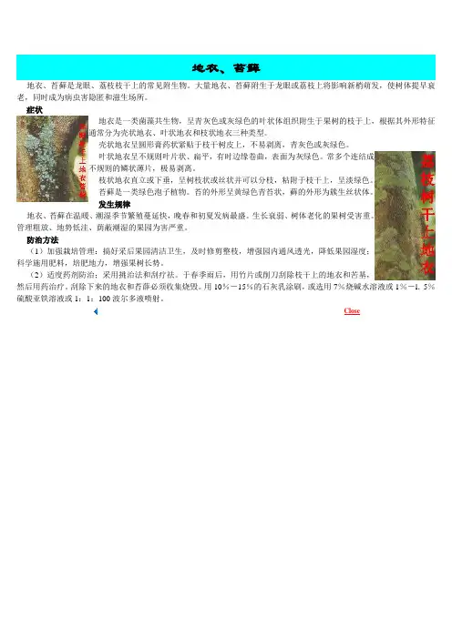地衣、苔藓