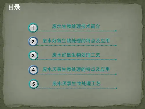 污水生化处理方法及工艺介绍