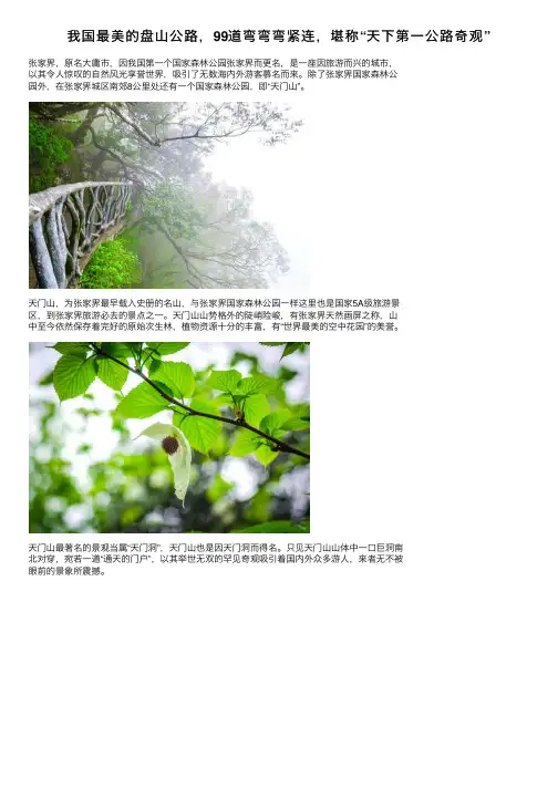 我国最美的盘山公路，99道弯弯弯紧连，堪称“天下第一公路奇观”