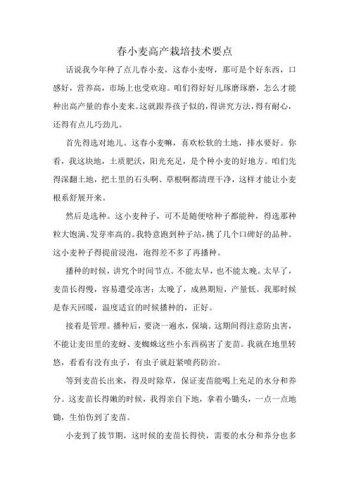 春小麦高产栽培技术要点
