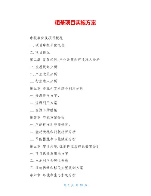 粗苯项目实施方案 
