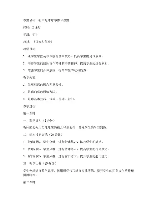 初中足球球感体育教案