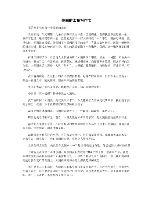 美丽的太湖写作文