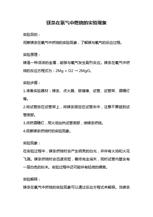 镁条在氧气中燃烧的实验现象