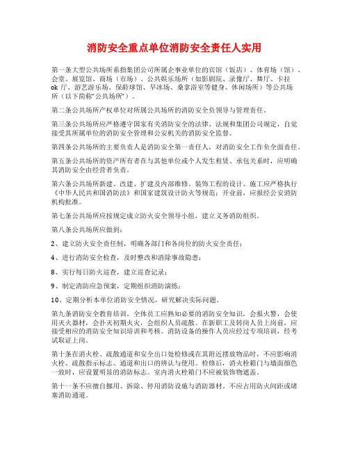 消防安全重点单位消防安全责任人实用