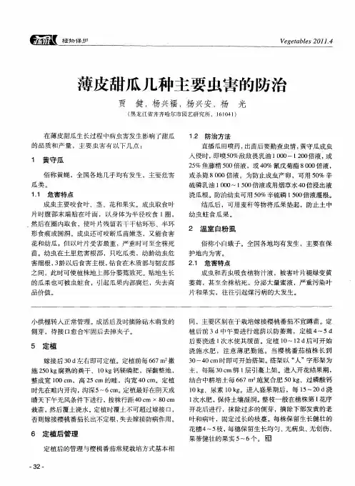 薄皮甜瓜几种主要虫害的防治