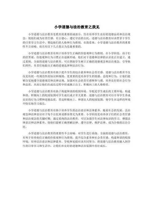 小学道德与法治教育之我见