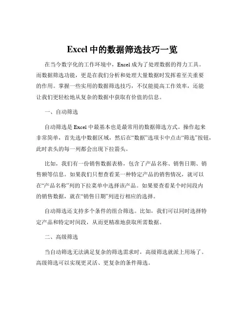 Excel中的数据筛选技巧一览