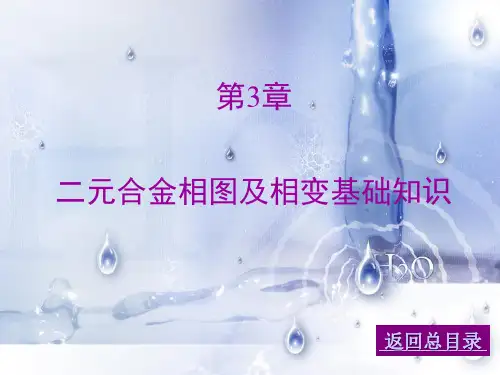 二元合金相图及相变基础知识