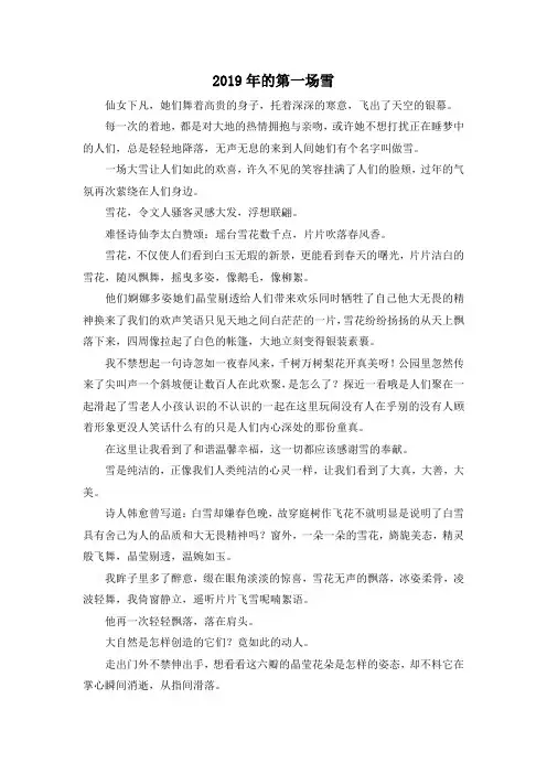 精彩作文大全-2019年的第一场雪3 精品