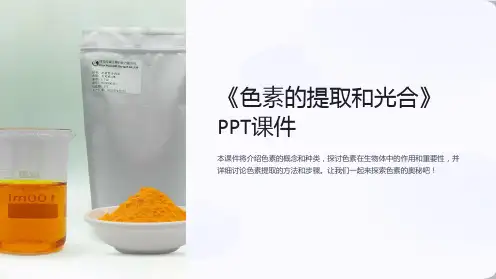 《色素的提取和光合》课件