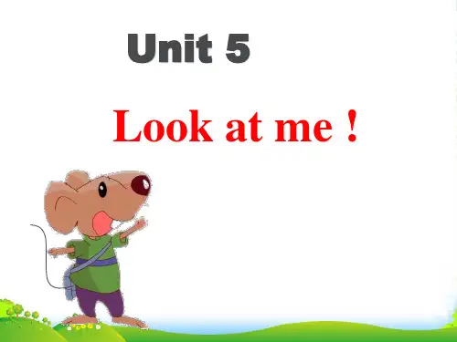 牛津译林版三年级英语上册Unit 5 Look at me! 课件1