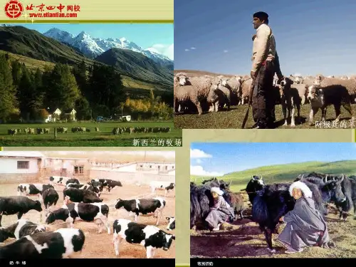 阿根廷潘帕斯草原大牧场牧牛业的分布