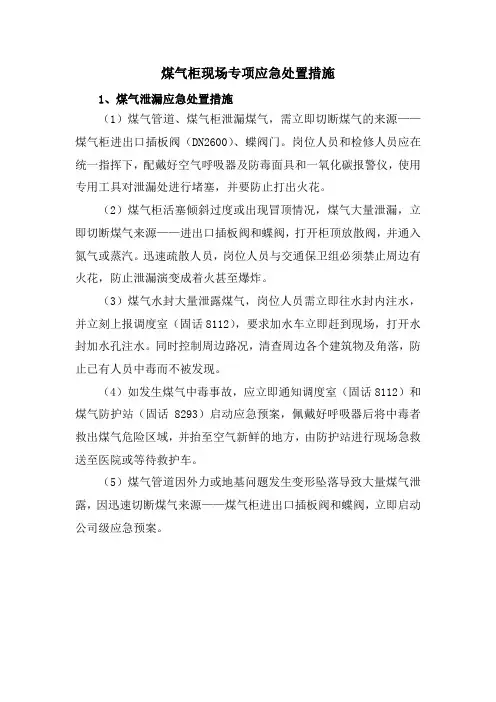 煤气柜现场专项应急处置方案