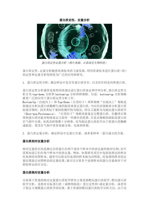 蛋白质定性、定量分析