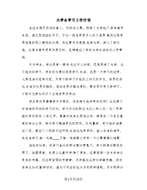 2024年大学生学习工作计划（五篇）
