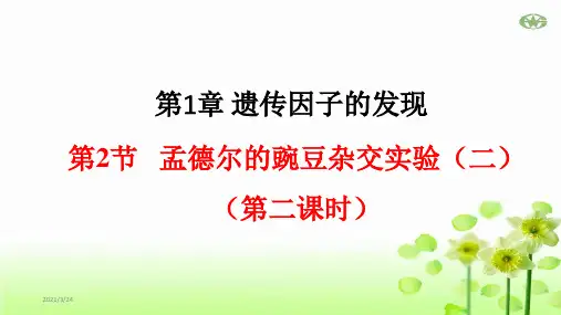 孟德尔的豌豆杂交实验(二)高中生物必修二ppt课件下载