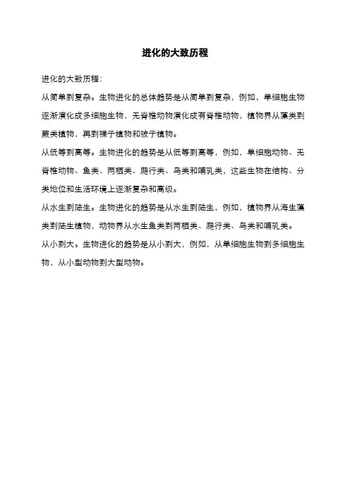进化的大致历程