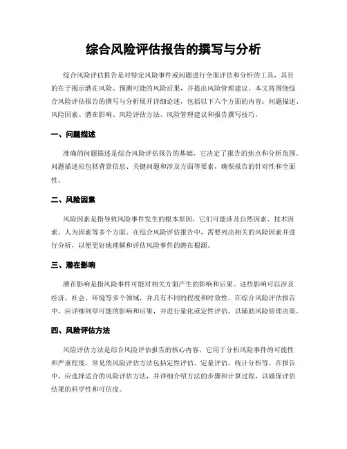 综合风险评估报告的撰写与分析