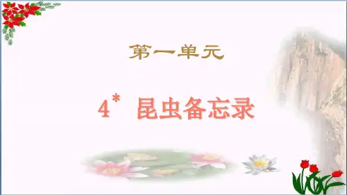 创新.昆虫备忘录 人教(部编版)PPT 优秀课件