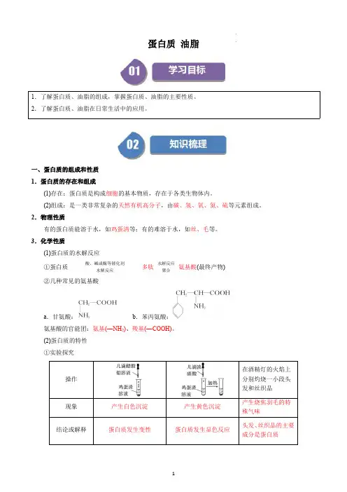 高中化学必修二教案讲义：蛋白质 油脂(教师版)