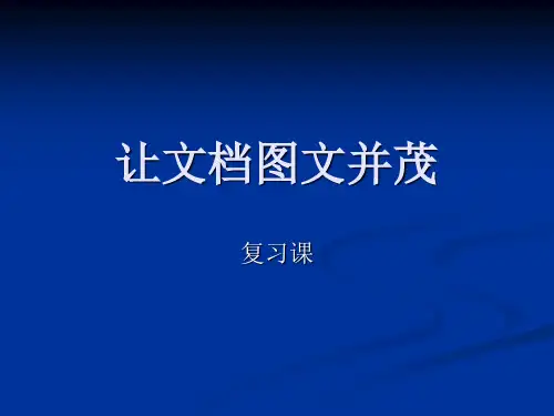 图文并茂的文档