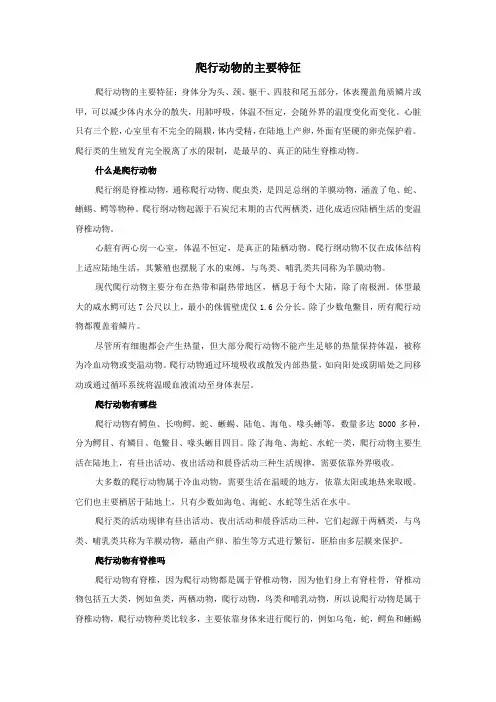 爬行动物的主要特征