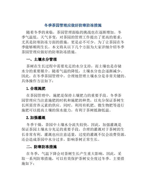 冬季茶园管理应做好防寒防冻措施