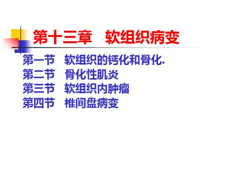 第十三章软组织病变2ppt课件