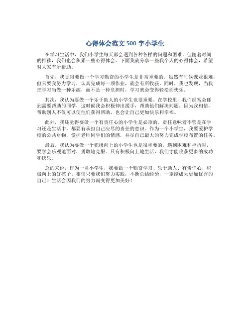 心得体会范文500字小学生