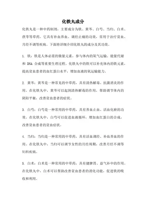 化铁丸成分