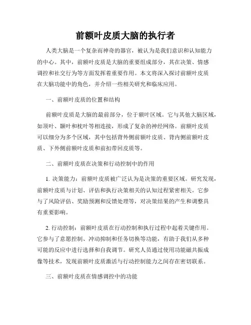 前额叶皮质大脑的执行者