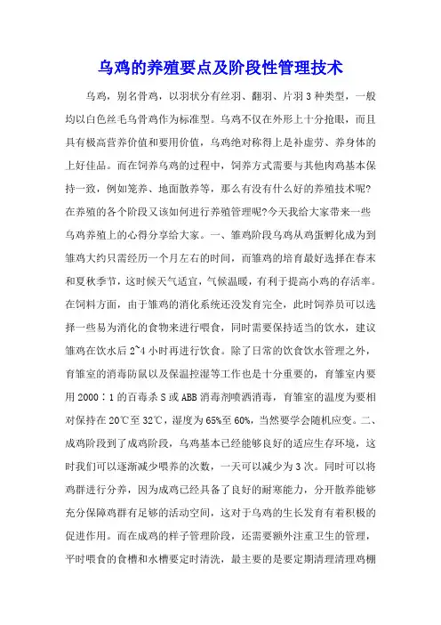 乌鸡的养殖要点及阶段性管理技术