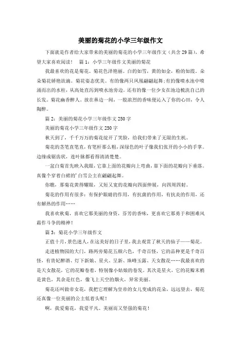 美丽的菊花的小学三年级作文