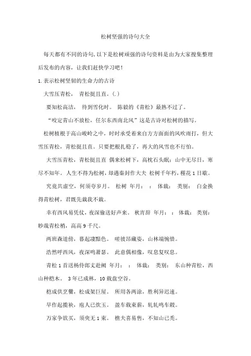 松树坚强的诗句