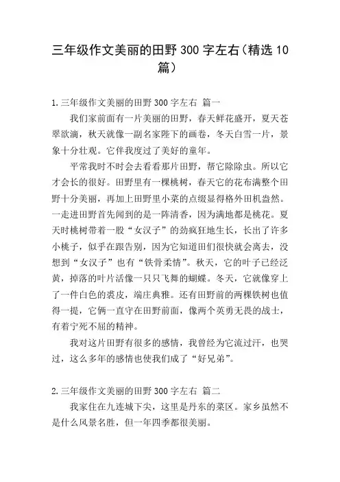 三年级作文美丽的田野300字左右(精选10篇)