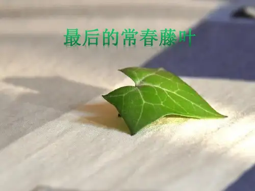 最后的常春藤叶PPT课件