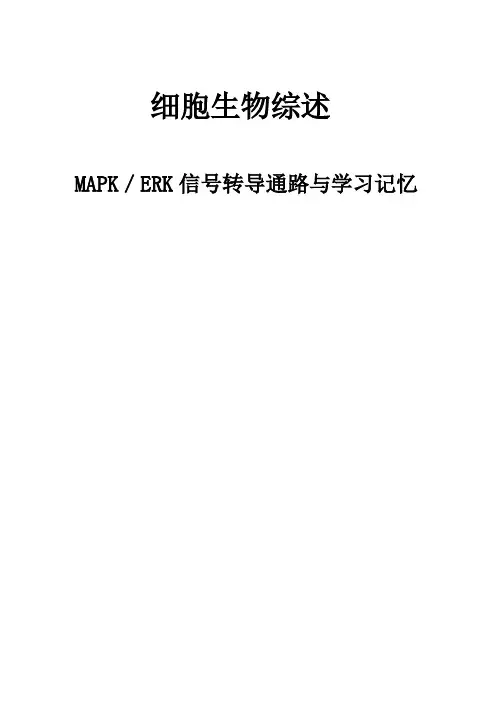 MAPK／ERK信号转导通路与学习记忆