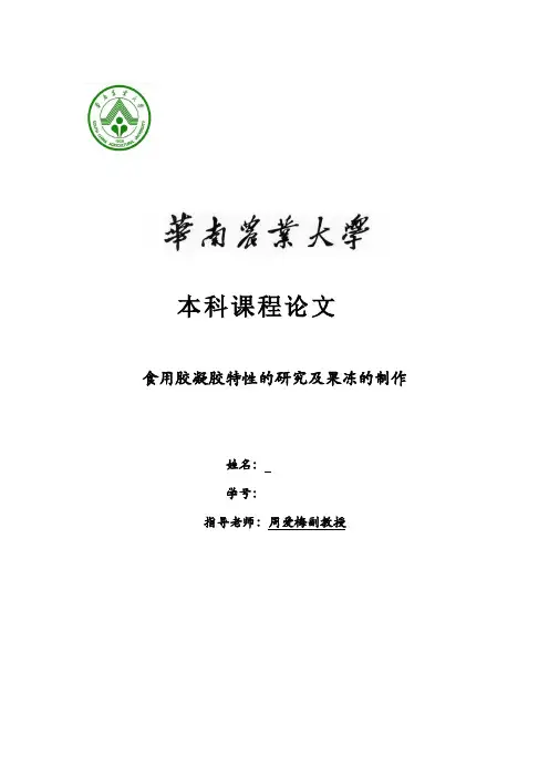 果冻制作报告
