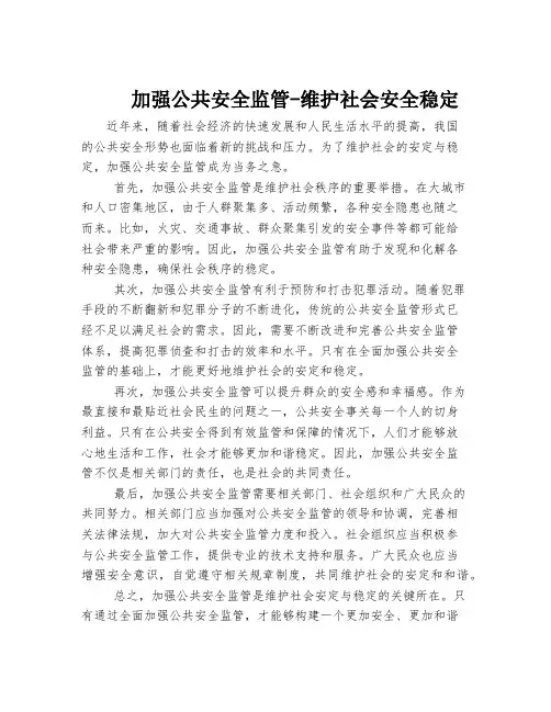 加强公共安全监管-维护社会安全稳定