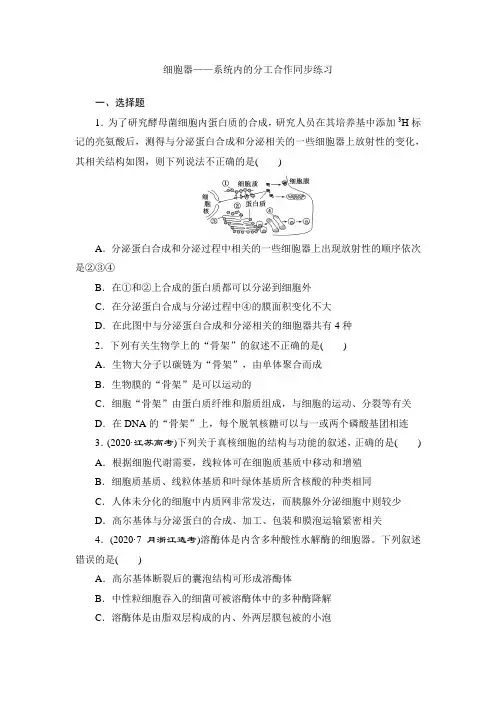 高三生物一轮复习 练习：细胞器——系统内的分工合作