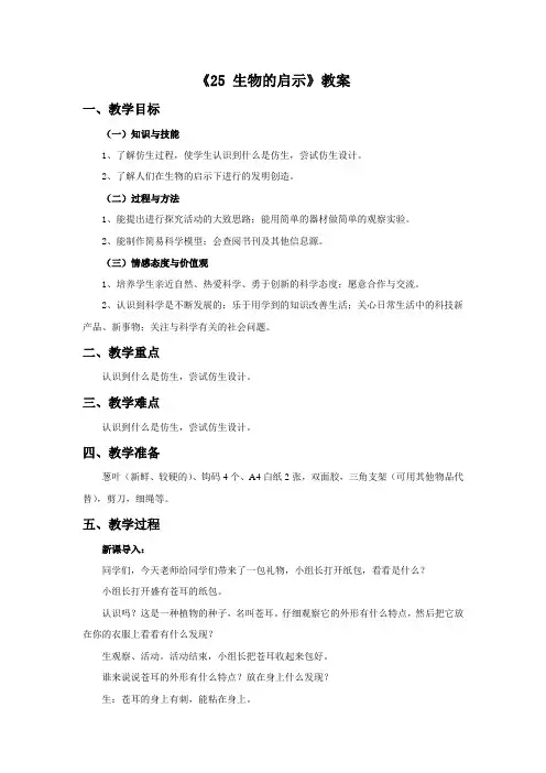 六年级科学上册《25 生物的启示》教案 青岛版