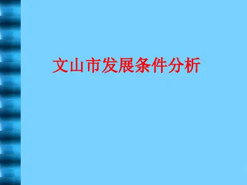 文山市发展条件分析
