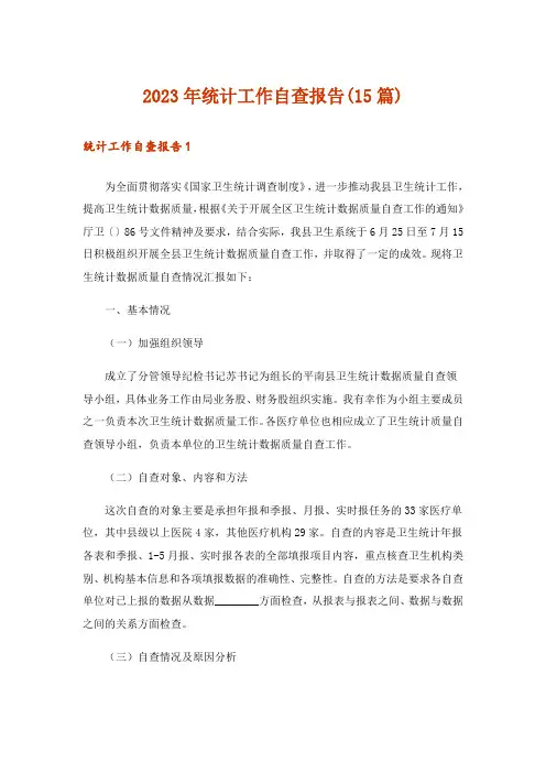 2023年统计工作自查报告(15篇)_1