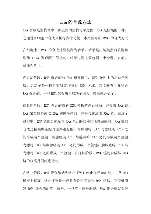 rna的合成方式