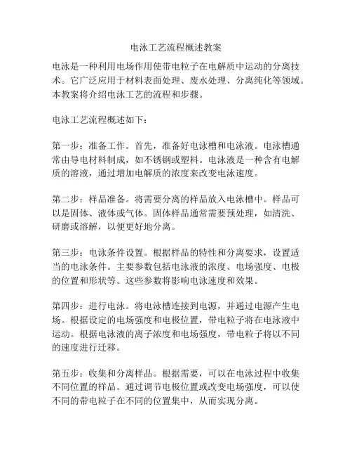 电泳工艺流程概述教案