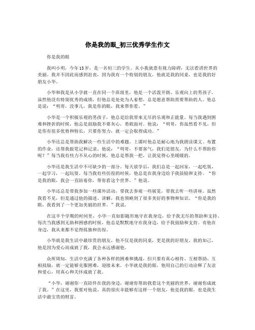 你是我的眼_初三优秀学生作文