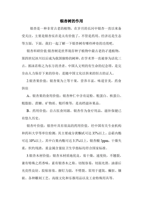 银杏树的作用