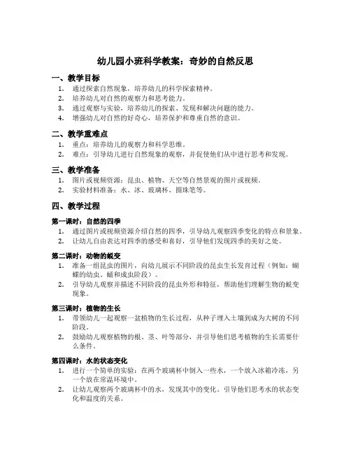 幼儿园小班科学教案奇妙的自然反思